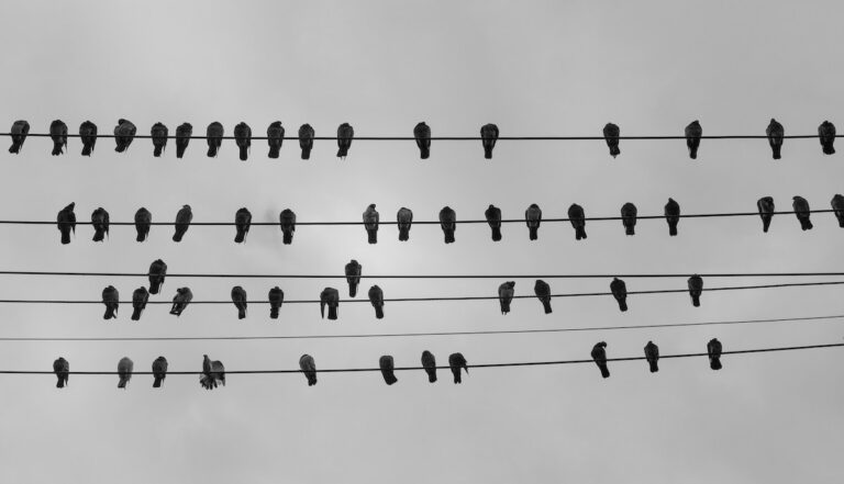 How to Prepare for Conferences (Even If You Hate Them)
